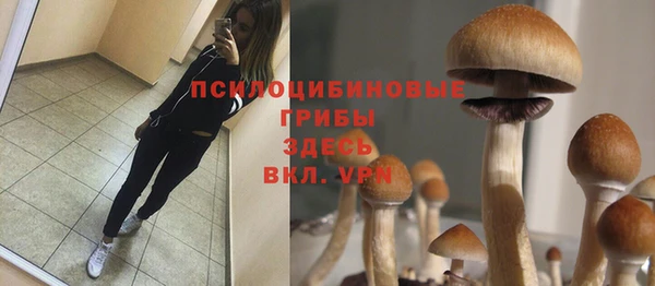 таблы Аркадак