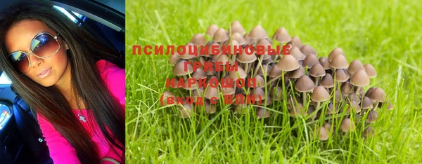 кокс Арсеньев