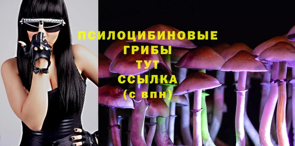 spice Армянск
