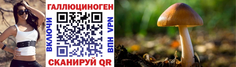 Галлюциногенные грибы Magic Shrooms  Купить  Янаул 